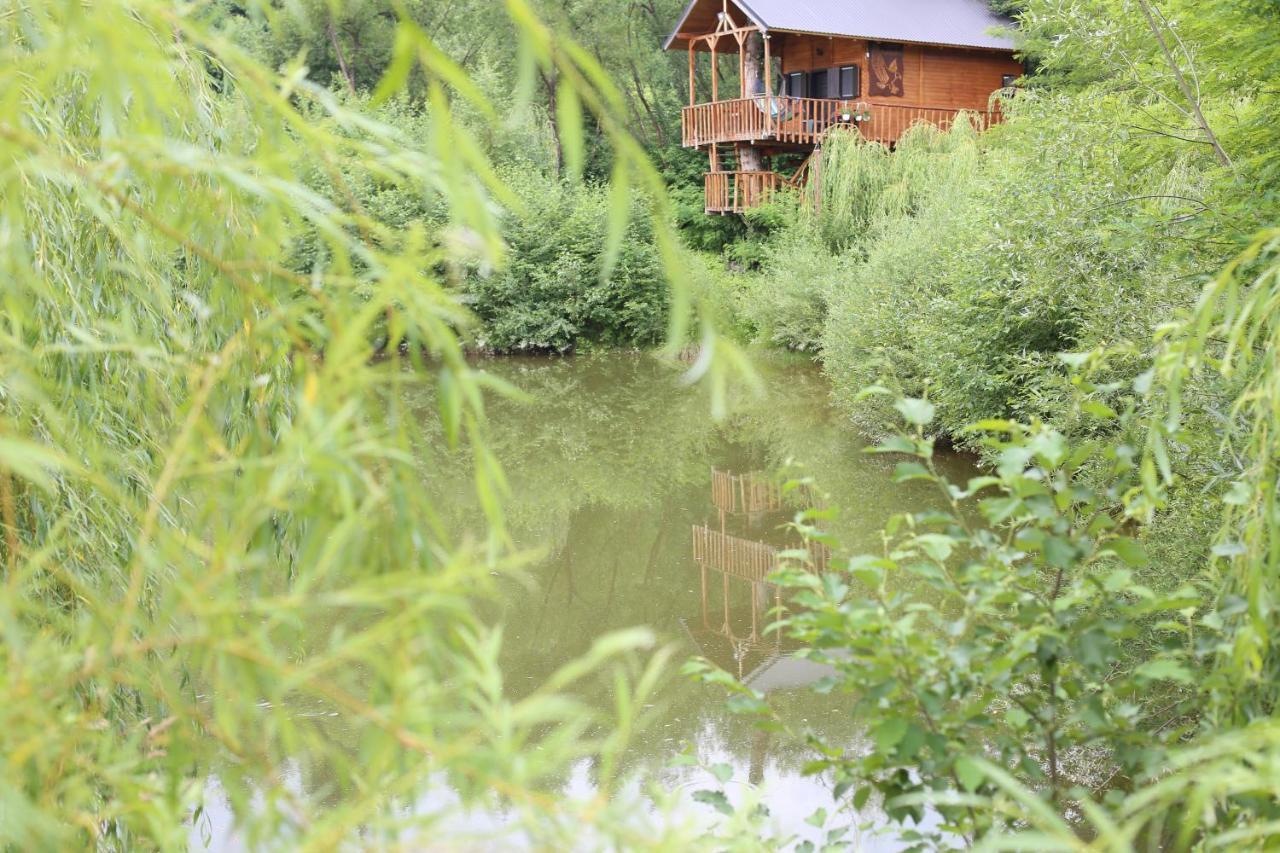 Cuibul Vulturilor - Casuta In Copac Villa มุยเซ ภายนอก รูปภาพ