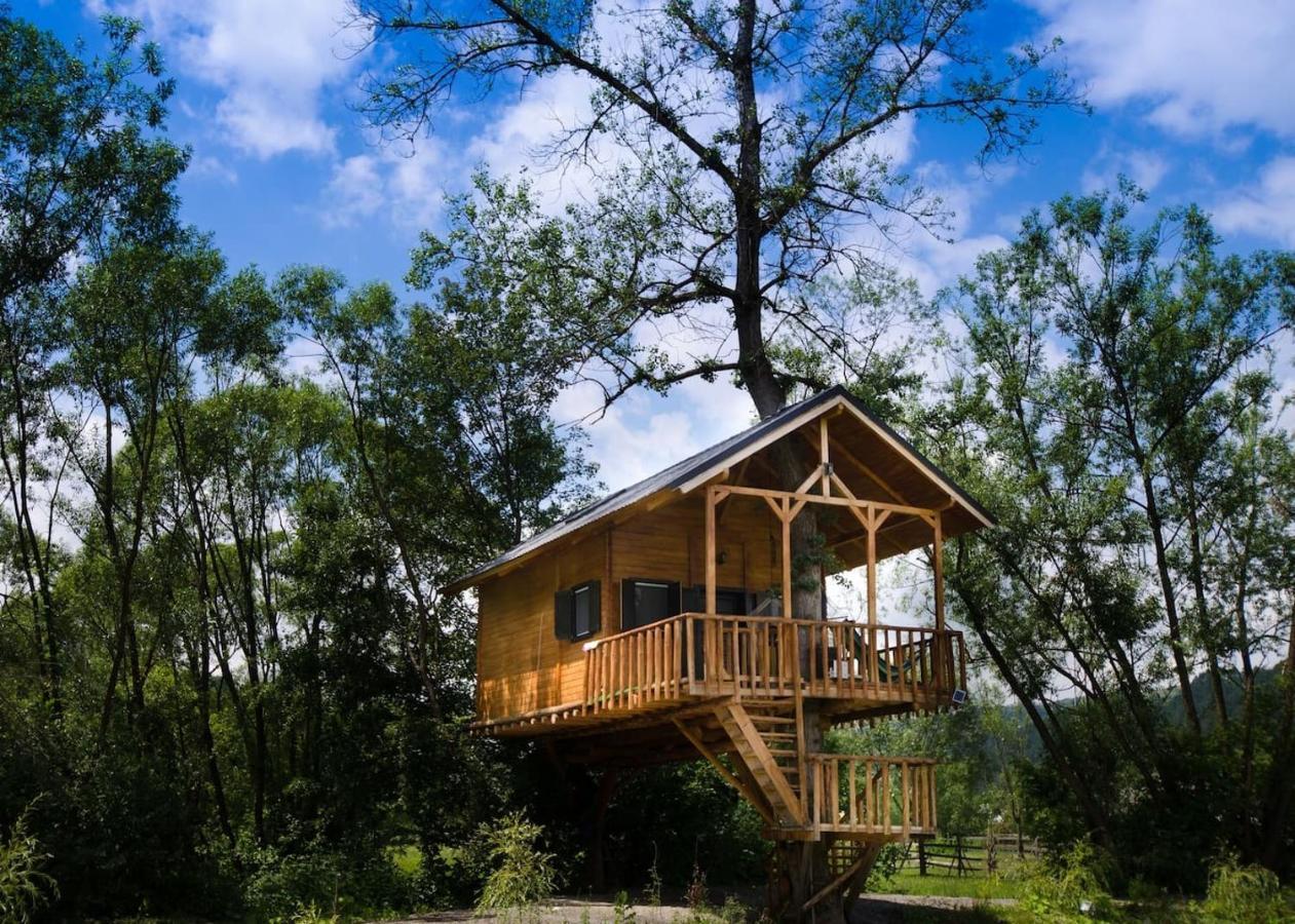 Cuibul Vulturilor - Casuta In Copac Villa มุยเซ ภายนอก รูปภาพ